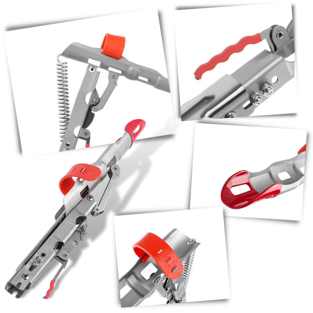 Fishing rod holder with springs