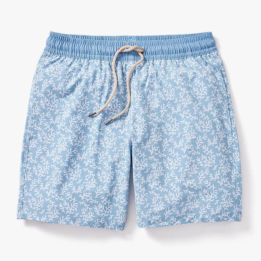 The Bayberry Trunk