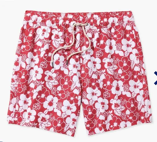 The Bayberry Trunk
